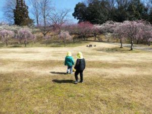 梅林公園