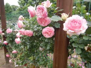 西山公園へお出かけしたよ！