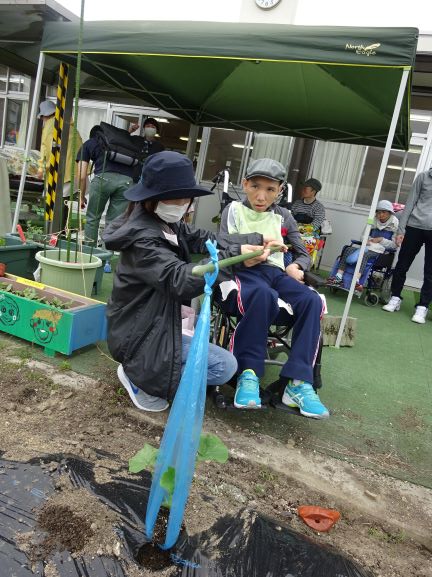 5月12日 夏野菜の苗を植えました ブログ 豊田市福祉事業団 社会福祉法人 5月12日 夏野菜の苗を植えました ブログ 豊田市福祉事業団 社会福祉法人