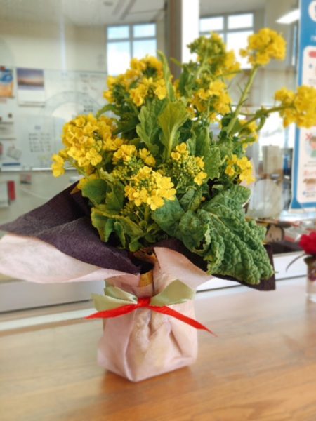 菜の花を寄付して頂きました ブログ 豊田市福祉事業団 社会福祉法人