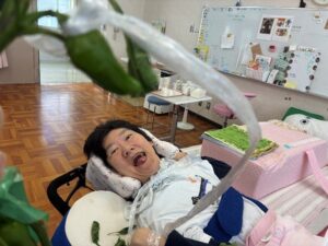 ししとうの収穫