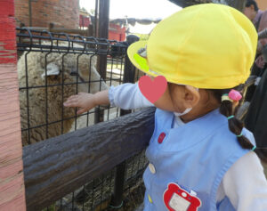 遠足に行ってきました！