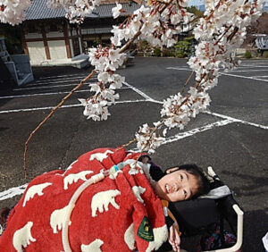 春のウォーキング