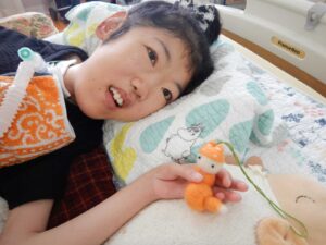 朱峰さんの大地グループ商品紹介No.１ ~フェルト創作品~